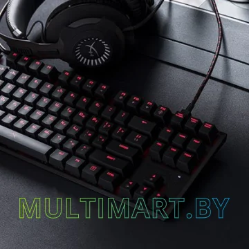Клавиатура HyperX Alloy FPS Pro (с переключателями Cherry MX Red) картинка 3